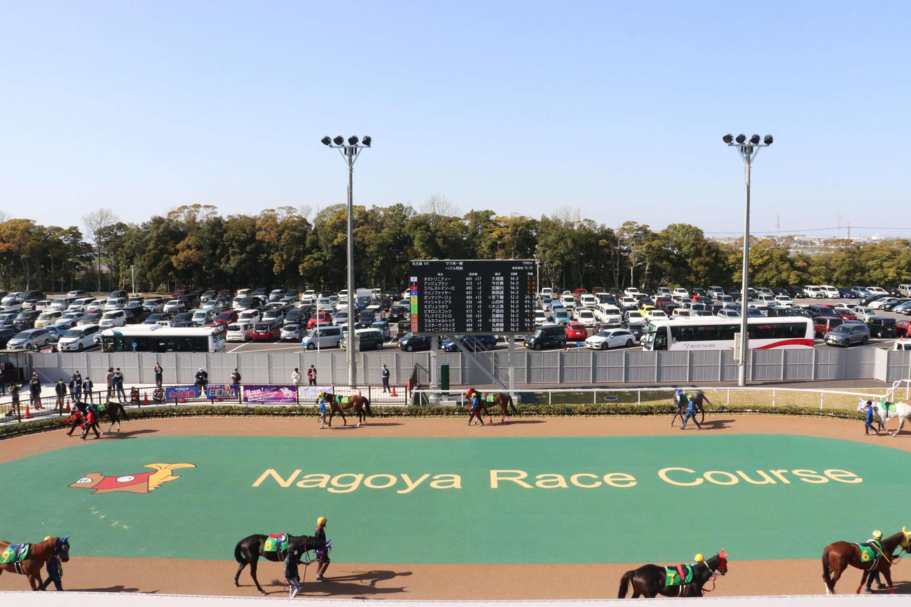 名古屋競馬場のパドック