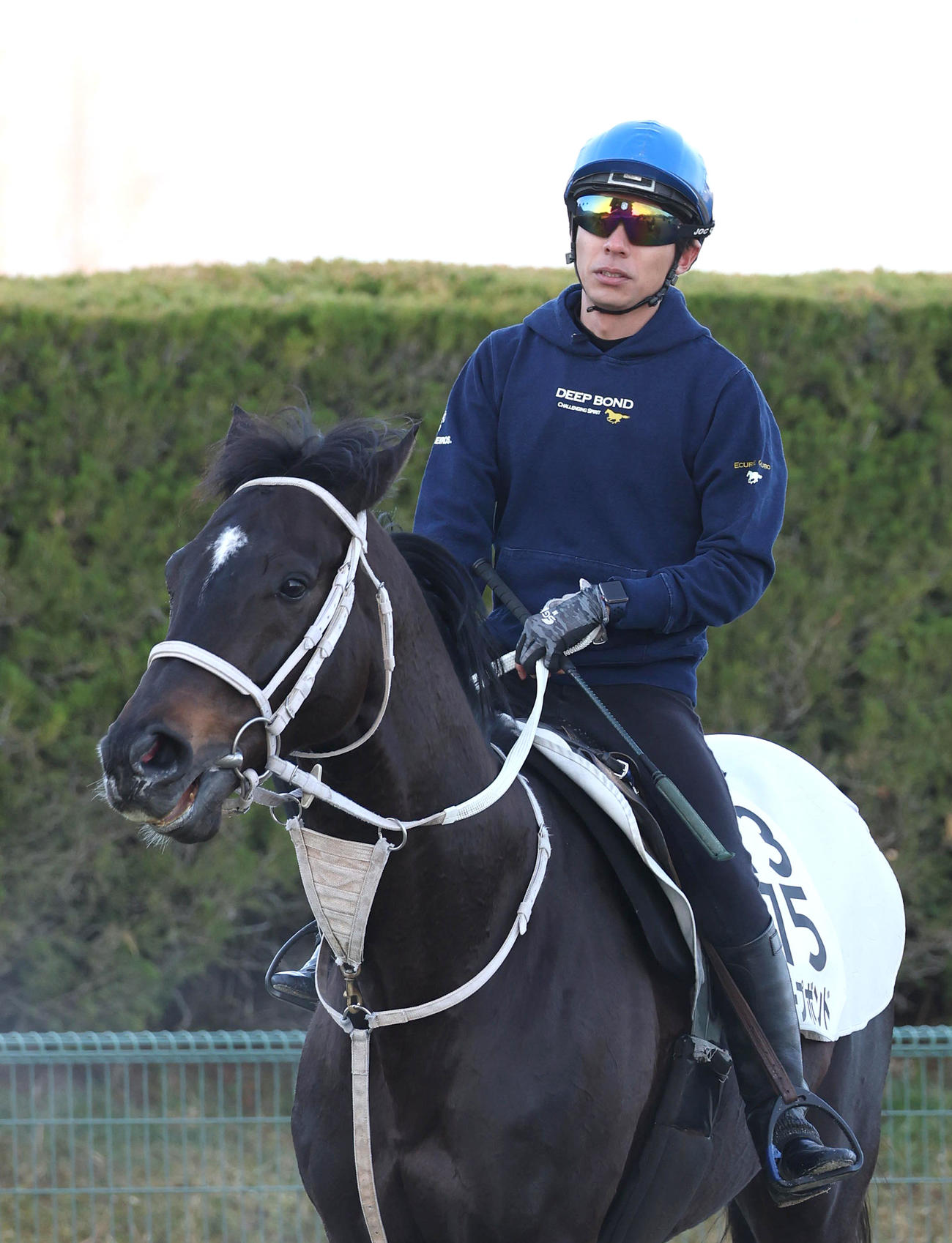 和田竜騎手を背にスタンド前で運動するディープボンド（撮影・白石智彦）