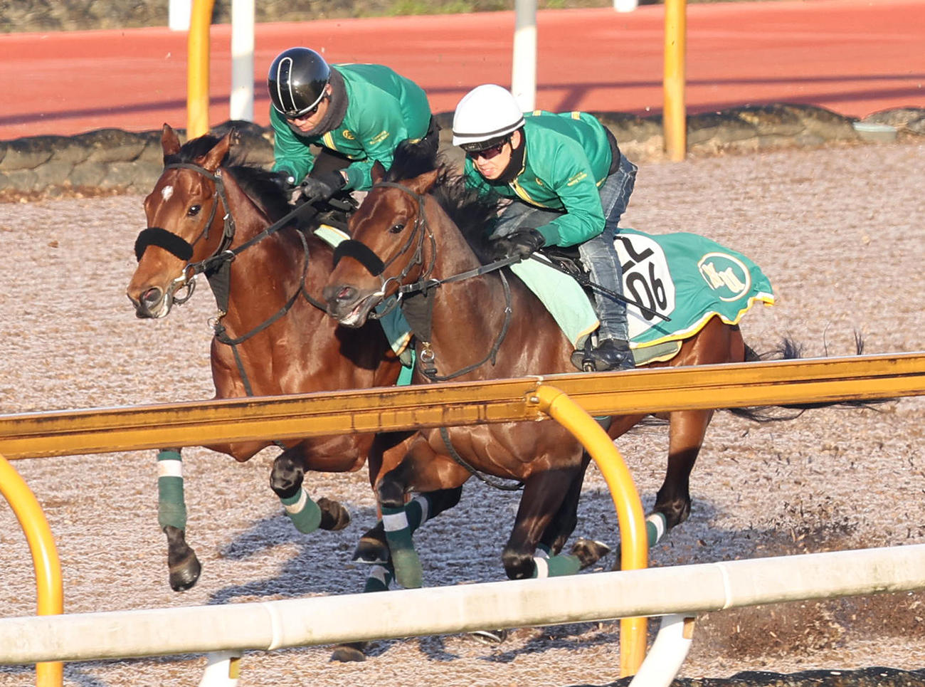 Cウッドをモズリッキー（右）と併せ馬で追い切るベラジオオペラ（撮影・白石智彦）
