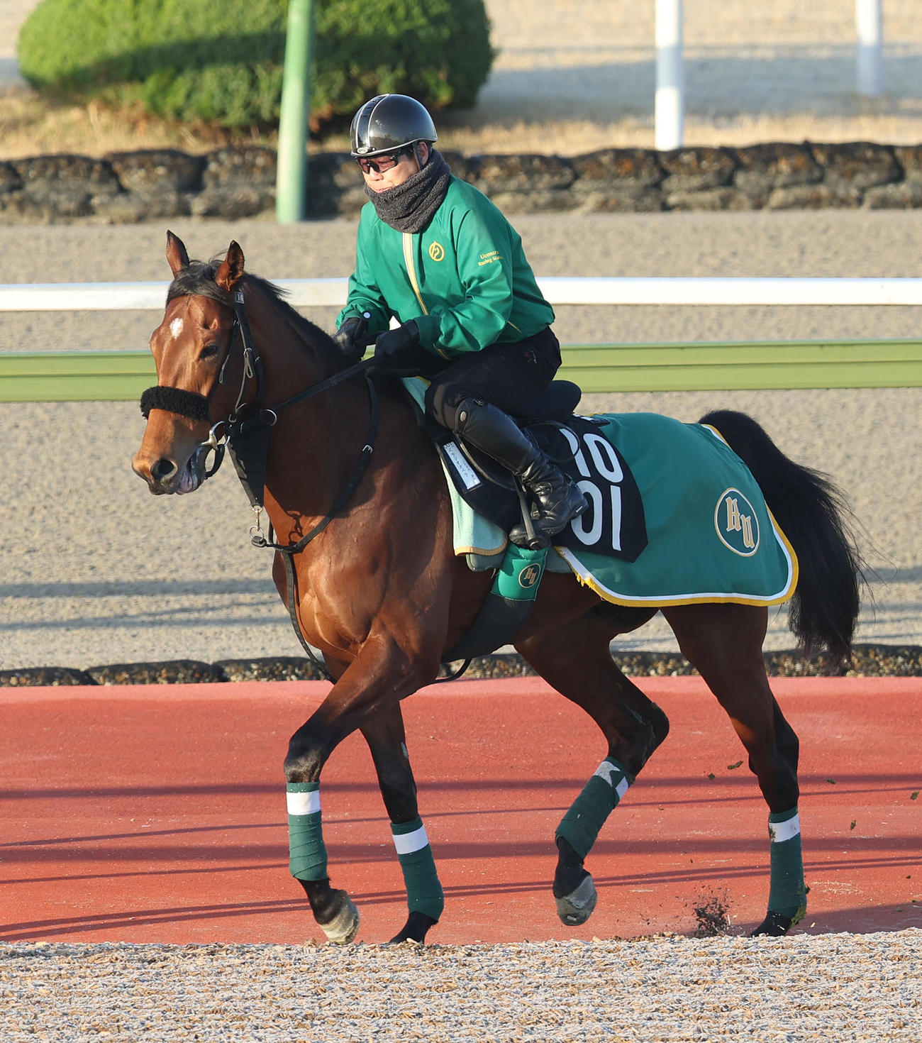 馬場入りするベラジオオペラ（撮影・白石智彦）