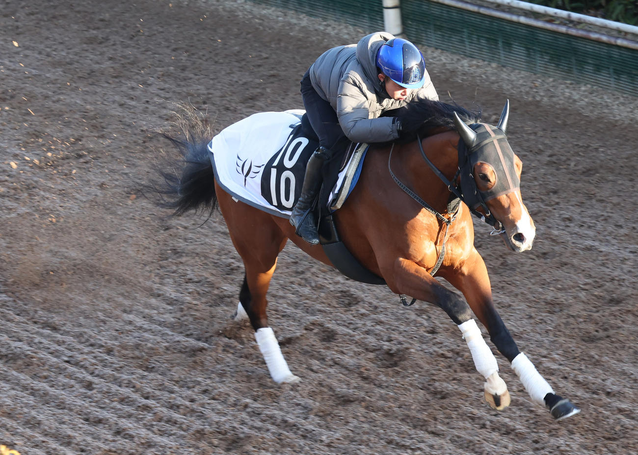岩田康騎手を背に坂路で追い切るペースセッティング