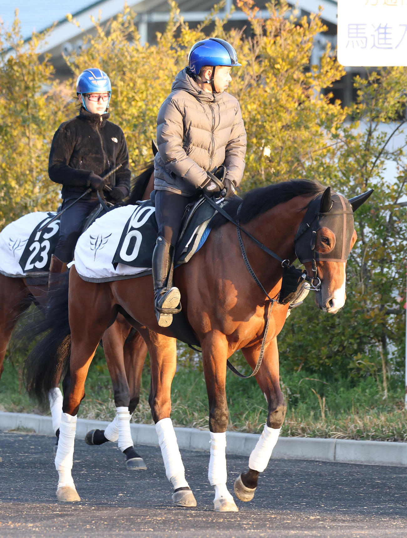 岩田康騎手を背に厩舎周りで運動するペースセッティング（撮影・白石智彦）