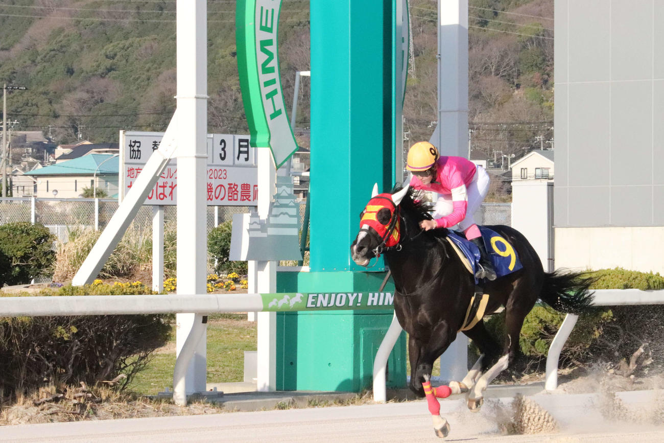 姫路12Rを父太郎師が管理するメイショウオニテで勝利した永島まなみ騎手