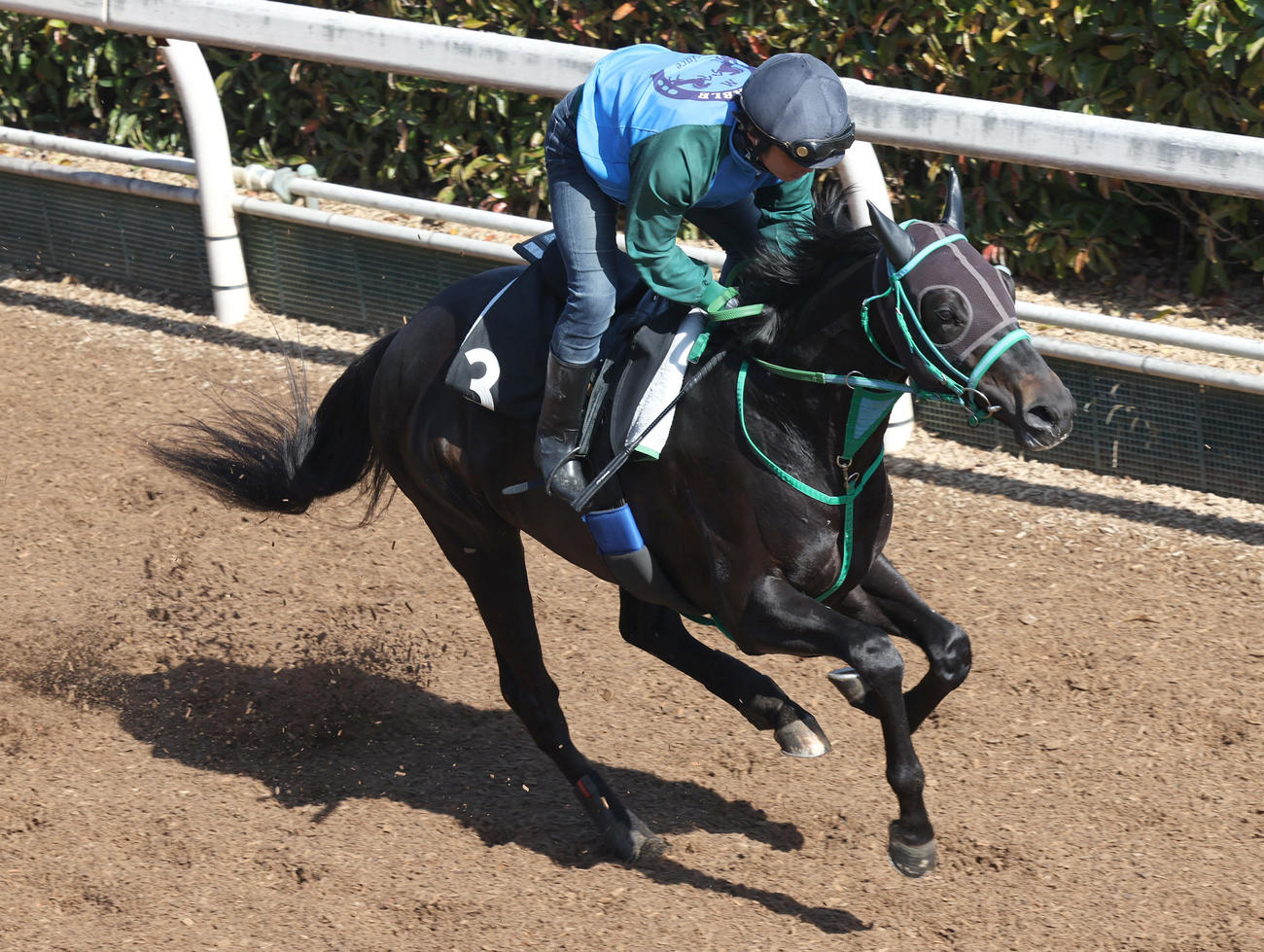 坂路で追い切るアイスグリーン