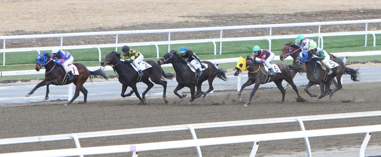 ホッカイドウ競馬能検2R（撮影・奥村晶治）