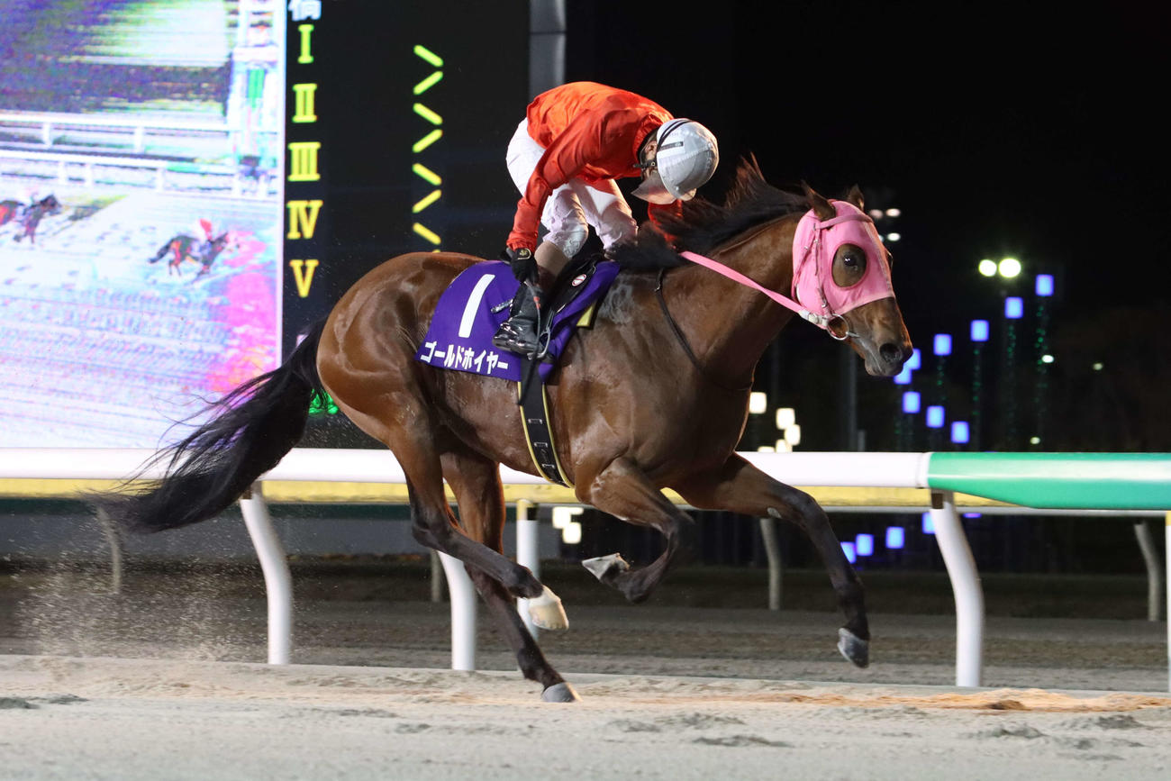 京成盃グランドマイラーズを制したゴールドホイヤーと山崎誠士騎手