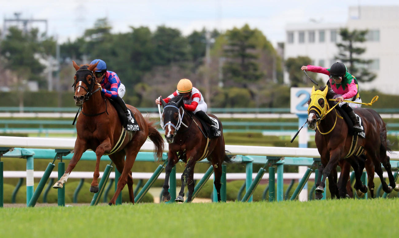 川田将雅騎手は阪神9R淡路特別をエンドウノハナで制す（撮影・加藤哉）