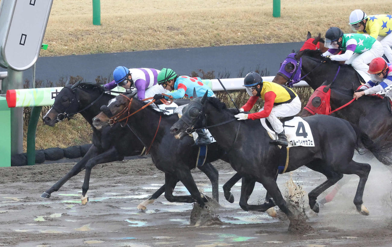 中山12Rを制したファイアーボーラーと石橋騎手（左から2頭目）（撮影・丹羽敏通）