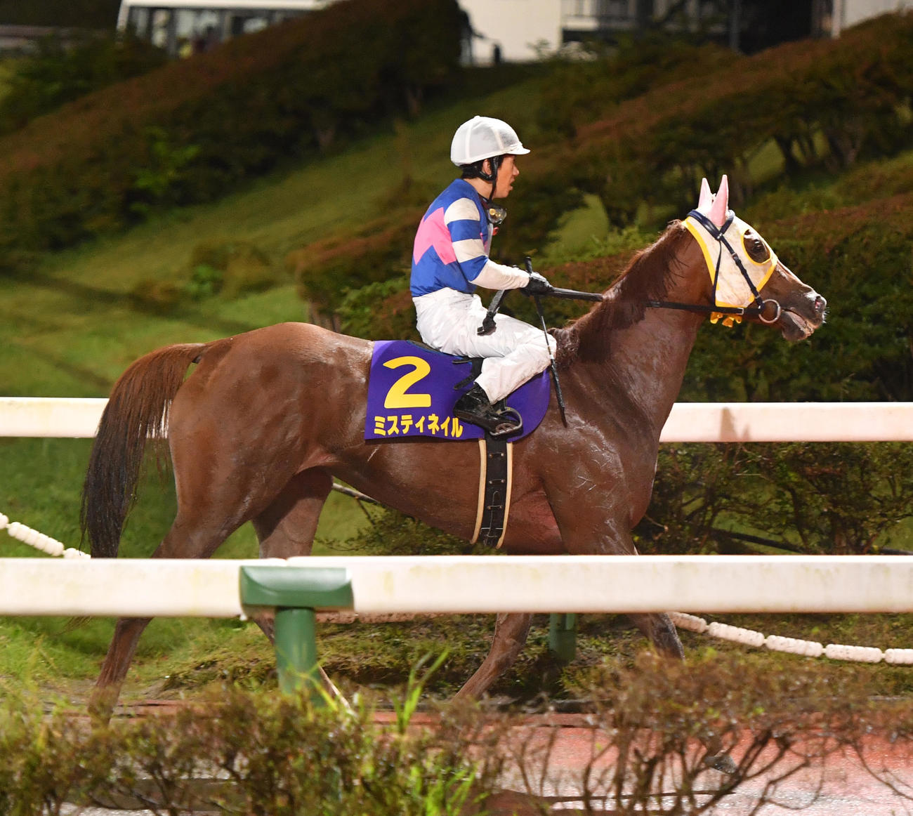 松本一心騎手の父・松本剛志騎手