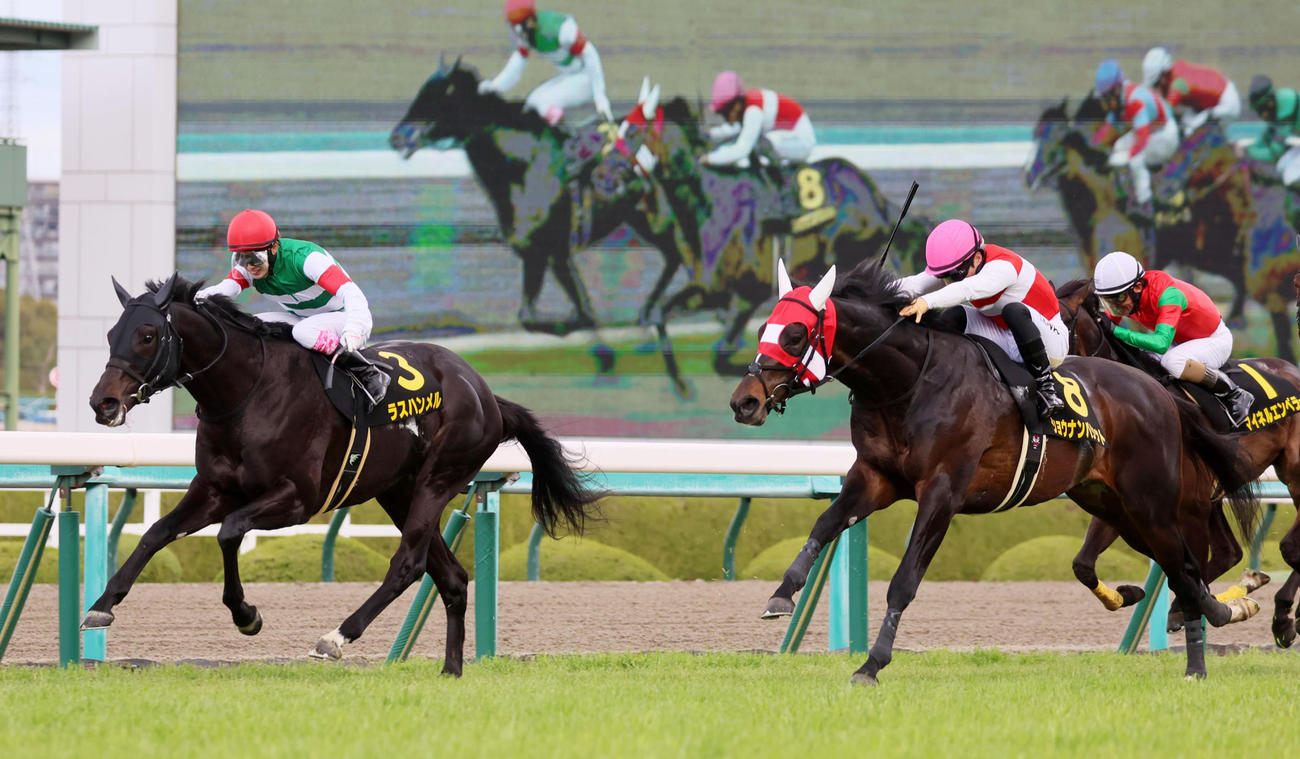 若葉Sで逃げ切りを図るも2着に敗れたラスハンメル（左）。右は勝ったショウナンバシット（撮影・加藤哉）