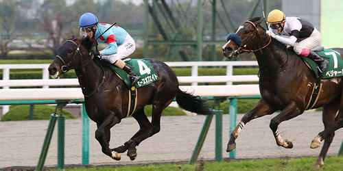 毎日杯を制したピースオブエイト（左）＝2022年3月26日、阪神競馬場
