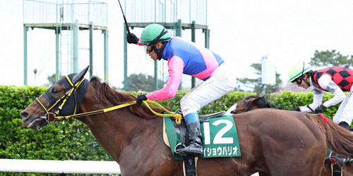 メイショウハリオでマーチSを制して右手を突き上げる浜中騎手=2022年3月27日、中山競馬場