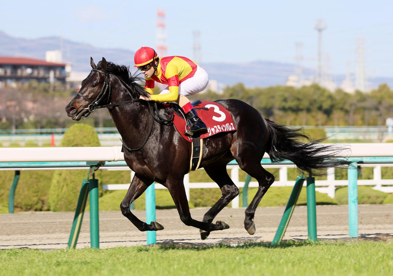 阪神大賞典　1着のジャスティンパレスとC・ルメール騎手（撮影・加藤哉）