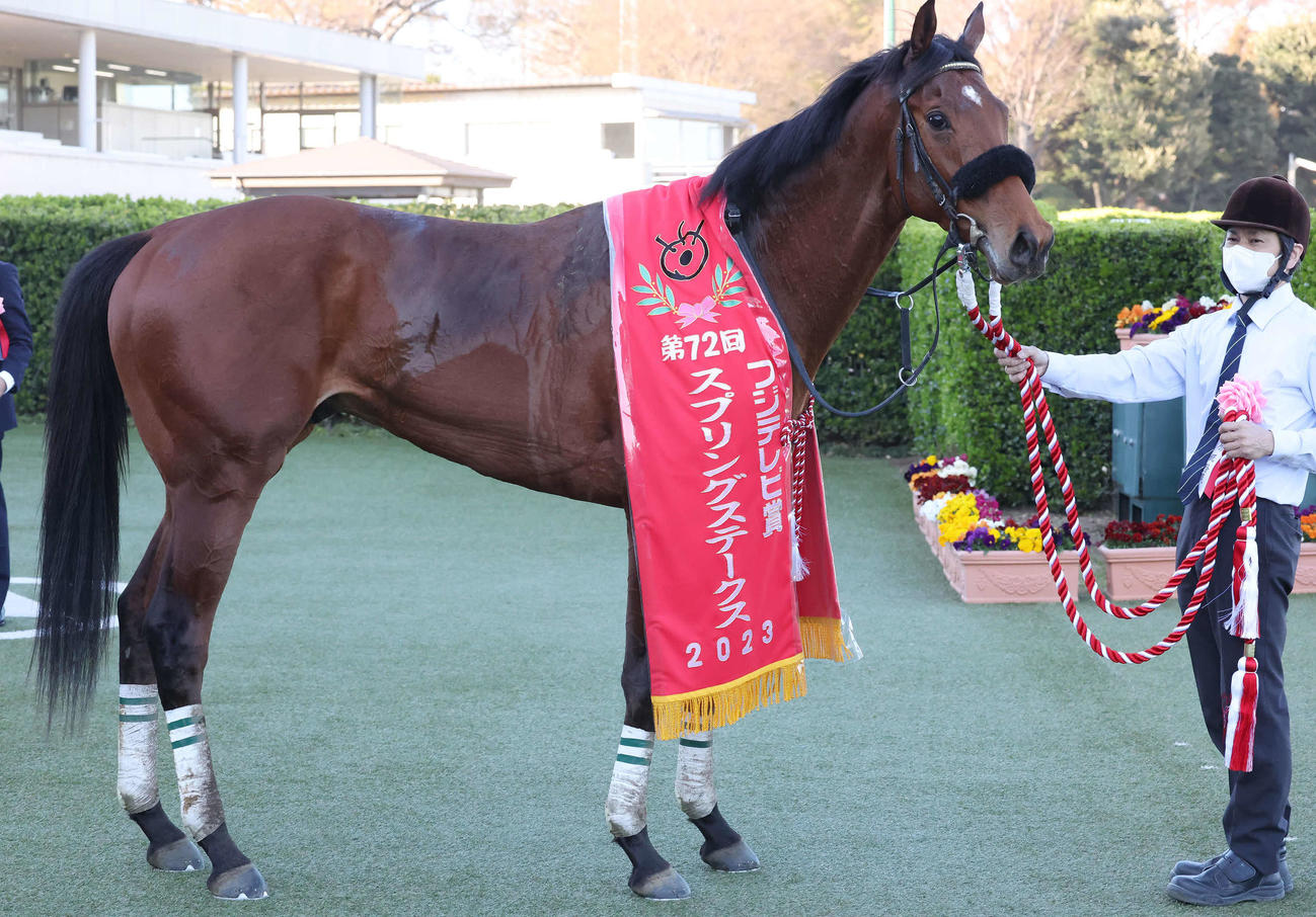 中山11R、スプリングSを制したベラジオオペラ（撮影・丹羽敏通）