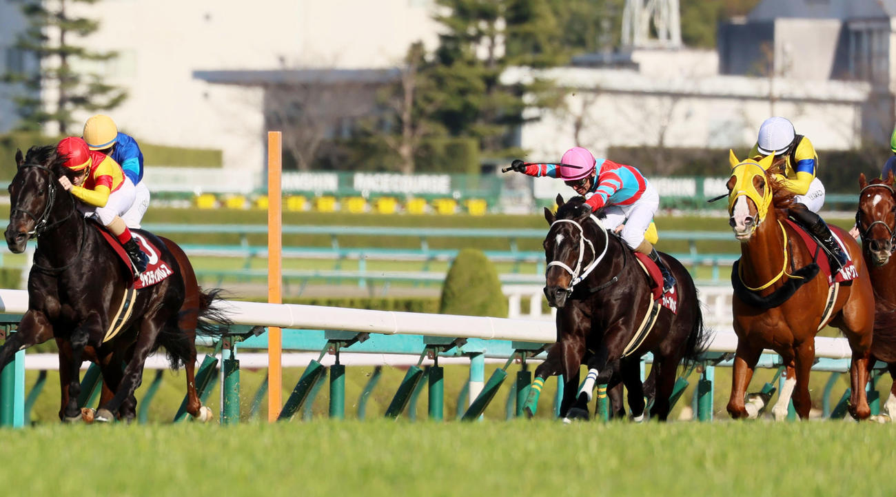 阪神大賞典2着に敗れたボルドグフーシュ（右）。左は勝ったジャスティンパレス（撮影・加藤哉）