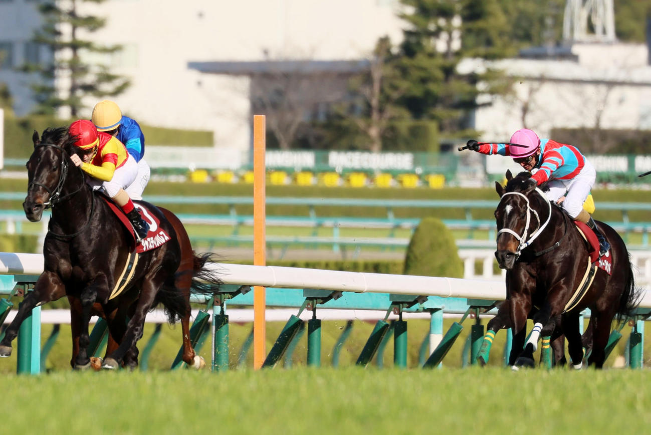 阪神大賞典5着に敗れたディープボンド（右）。左は勝ったジャスティンパレス（撮影・加藤哉）