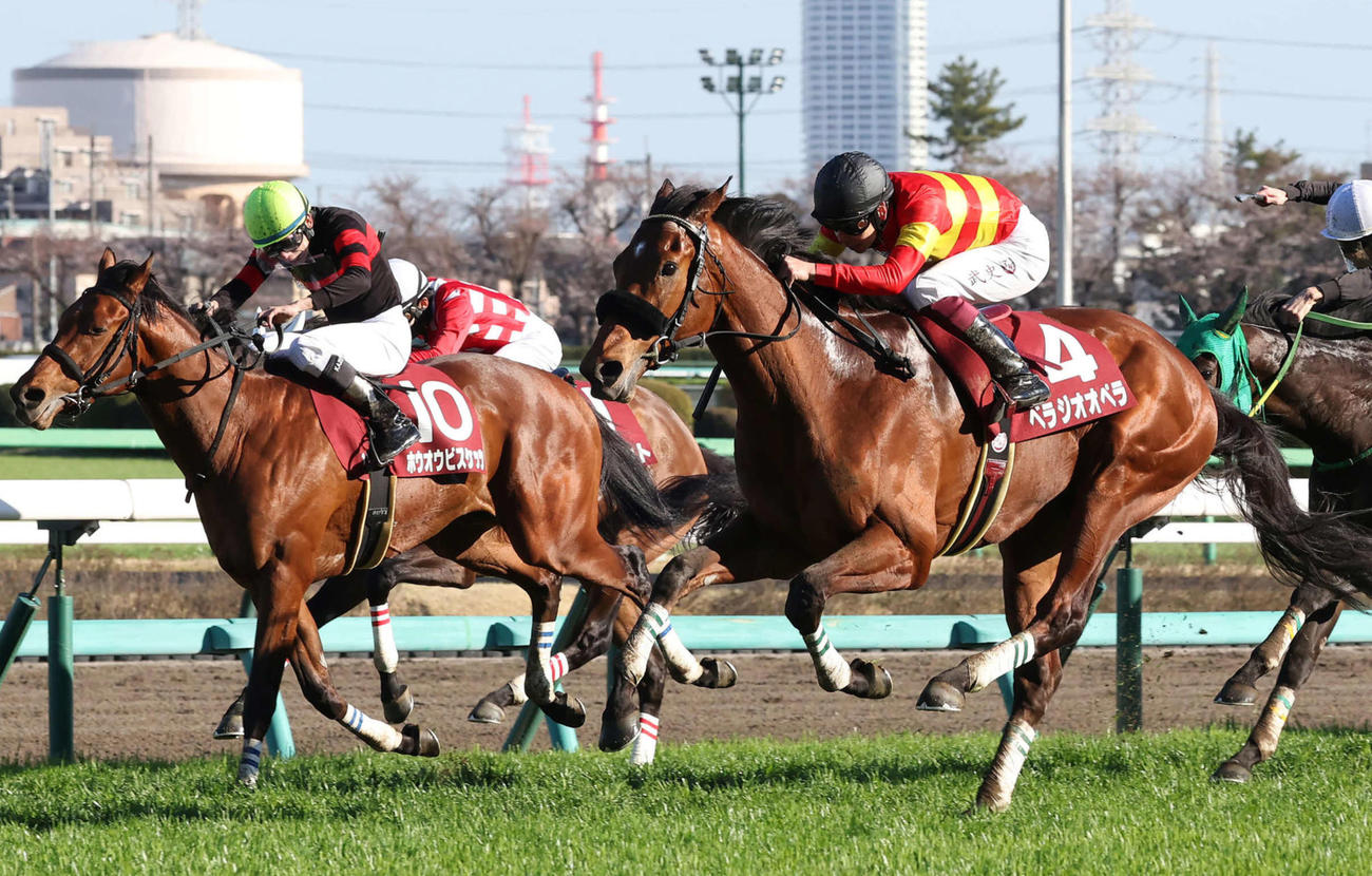 スプリングS2着のホウオウビスケッツ（左）。右は勝ったベラジオオペラ（撮影・丹羽敏通）