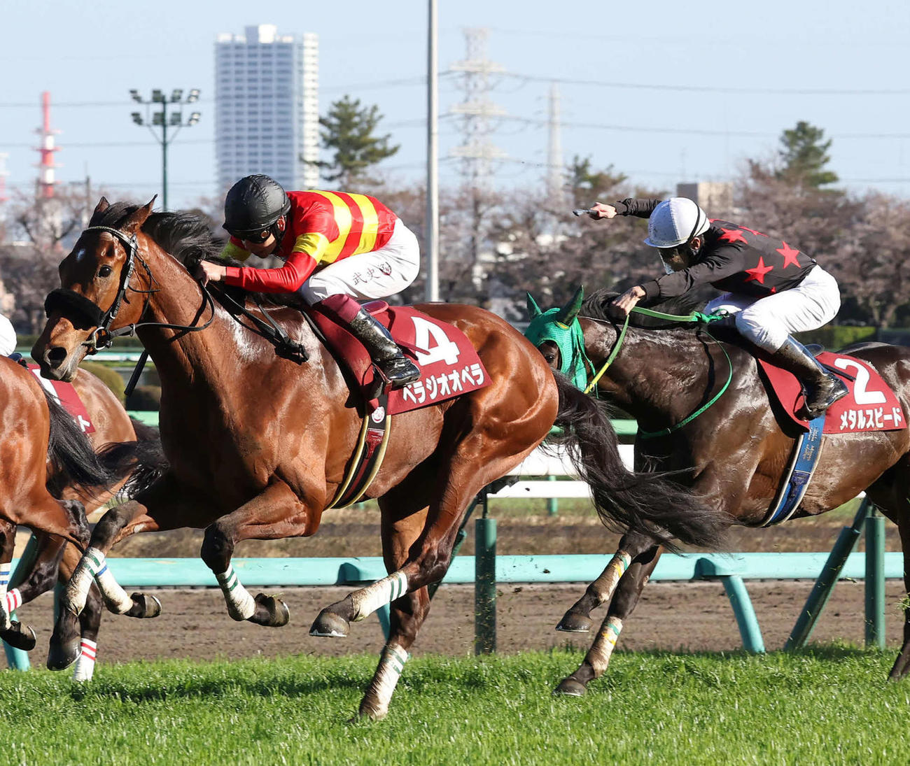 スプリングS3着のメタルスピード（右）。左は勝ったベラジオオペラ（撮影・丹羽敏通）