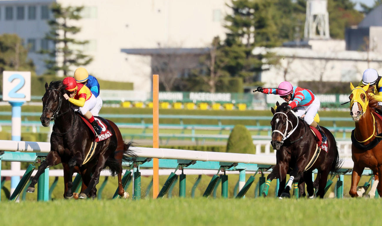阪神大賞典を制したジャスティンパレス（左）とC・ルメール騎手（撮影・加藤哉）