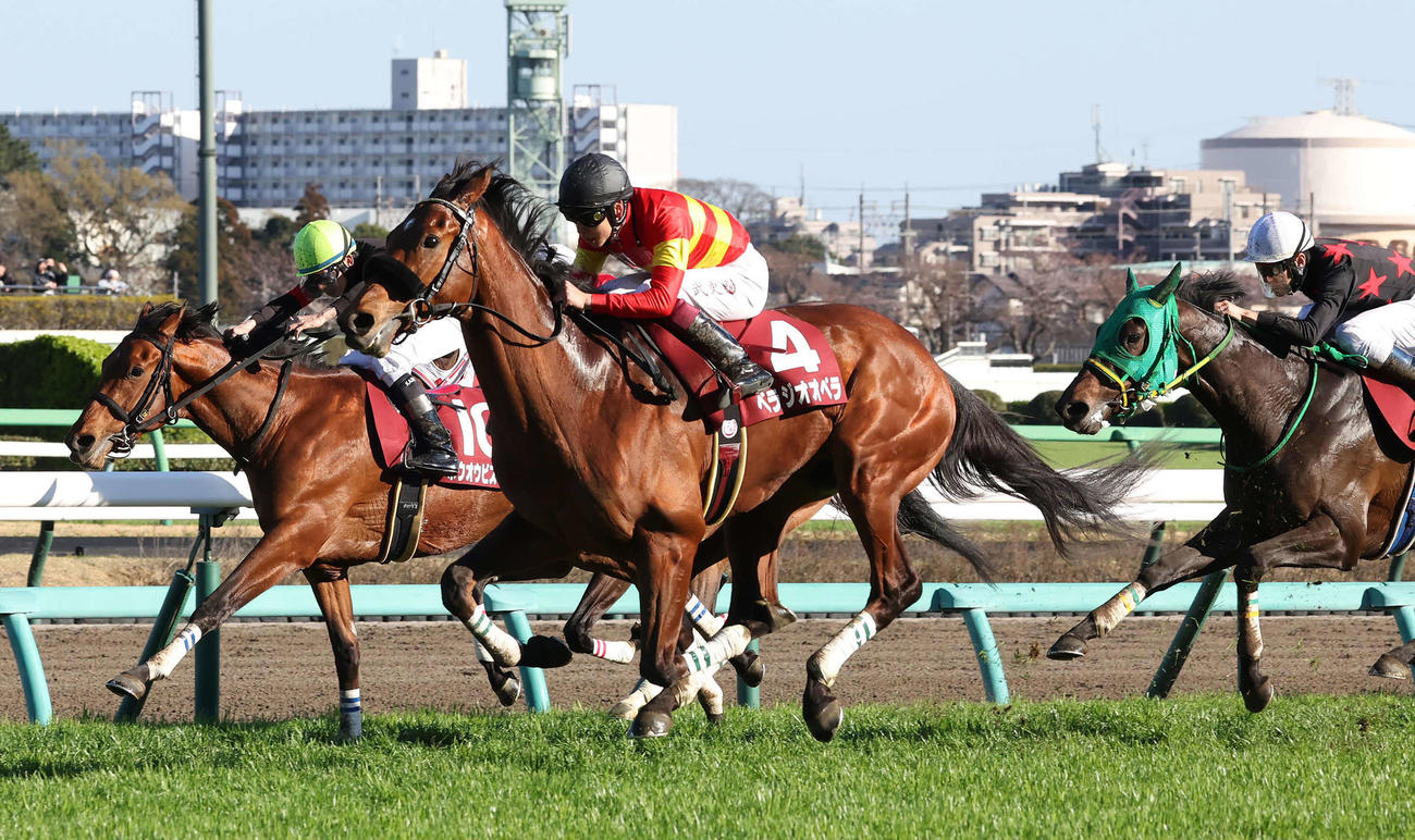 外から突き抜けスプリングSを制したベラジオオペラと横山武騎手（中央）（撮影・丹羽敏通）