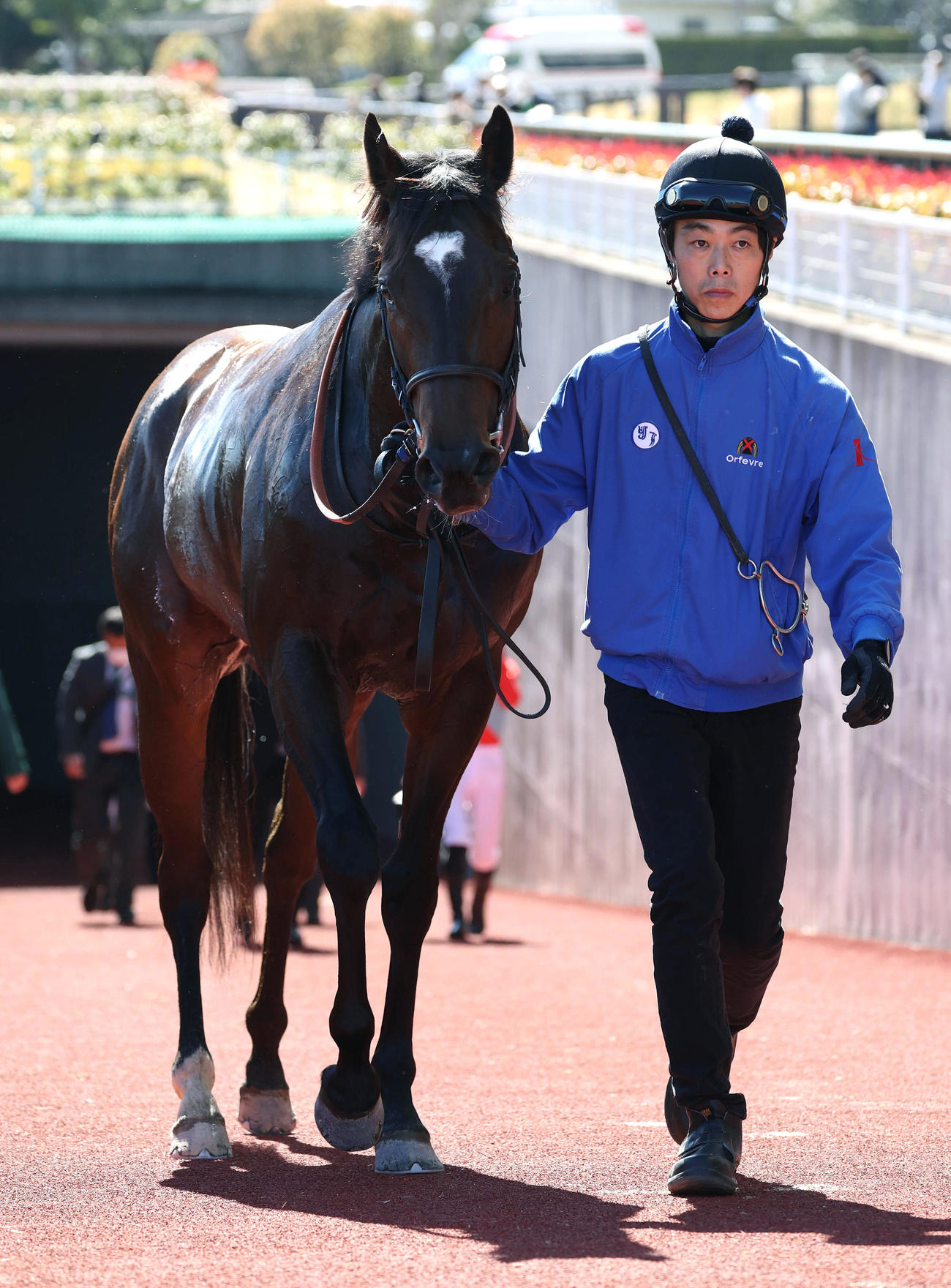 中京9R、フローラルウォーク賞を制したティニア（撮影・白石智彦）