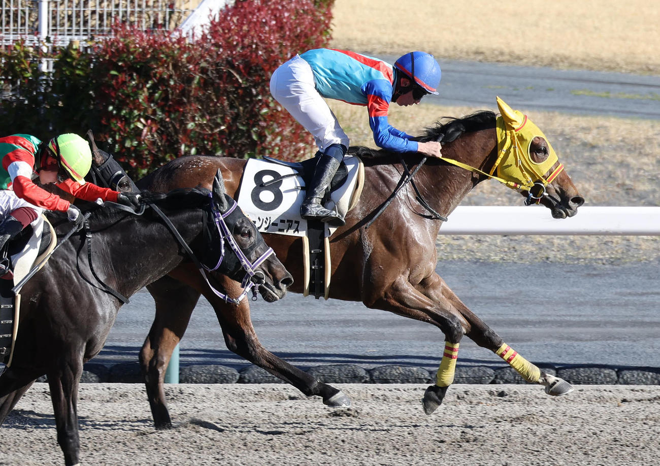 クリーンジーニアスで中京12Rを制して荒川師はJRA通算300勝を達成した（撮影・白石智彦）