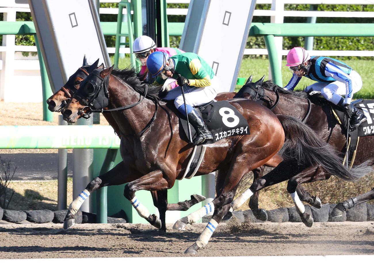 中山10R、千葉Sを制したスズカコテキタイと岩田康騎手（手前）（撮影・丹羽敏通）