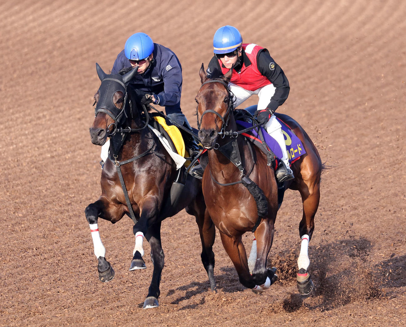 美浦ウッドで併せて追い切るキルロード（右）（撮影・鈴木正人）