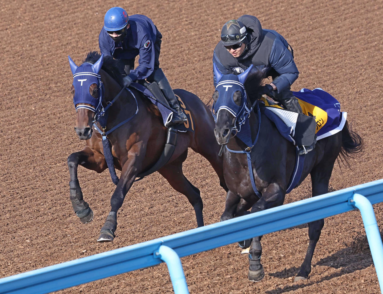 16日、キングズレイン（左）は美浦ウッドをマイネルファンロンと併せて追い切り半馬身先着