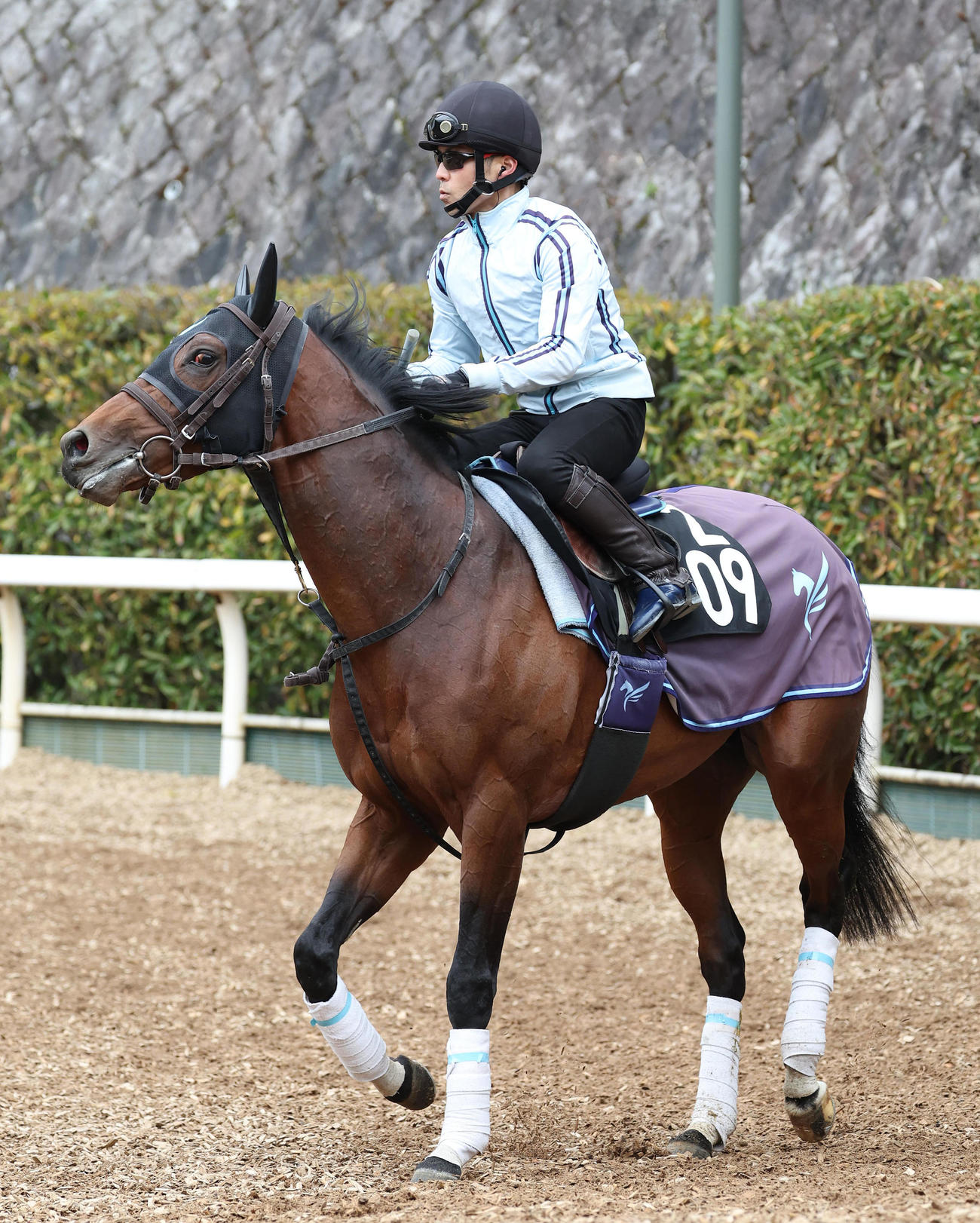坂路で調整するオメガリッチマン（撮影・白石智彦）