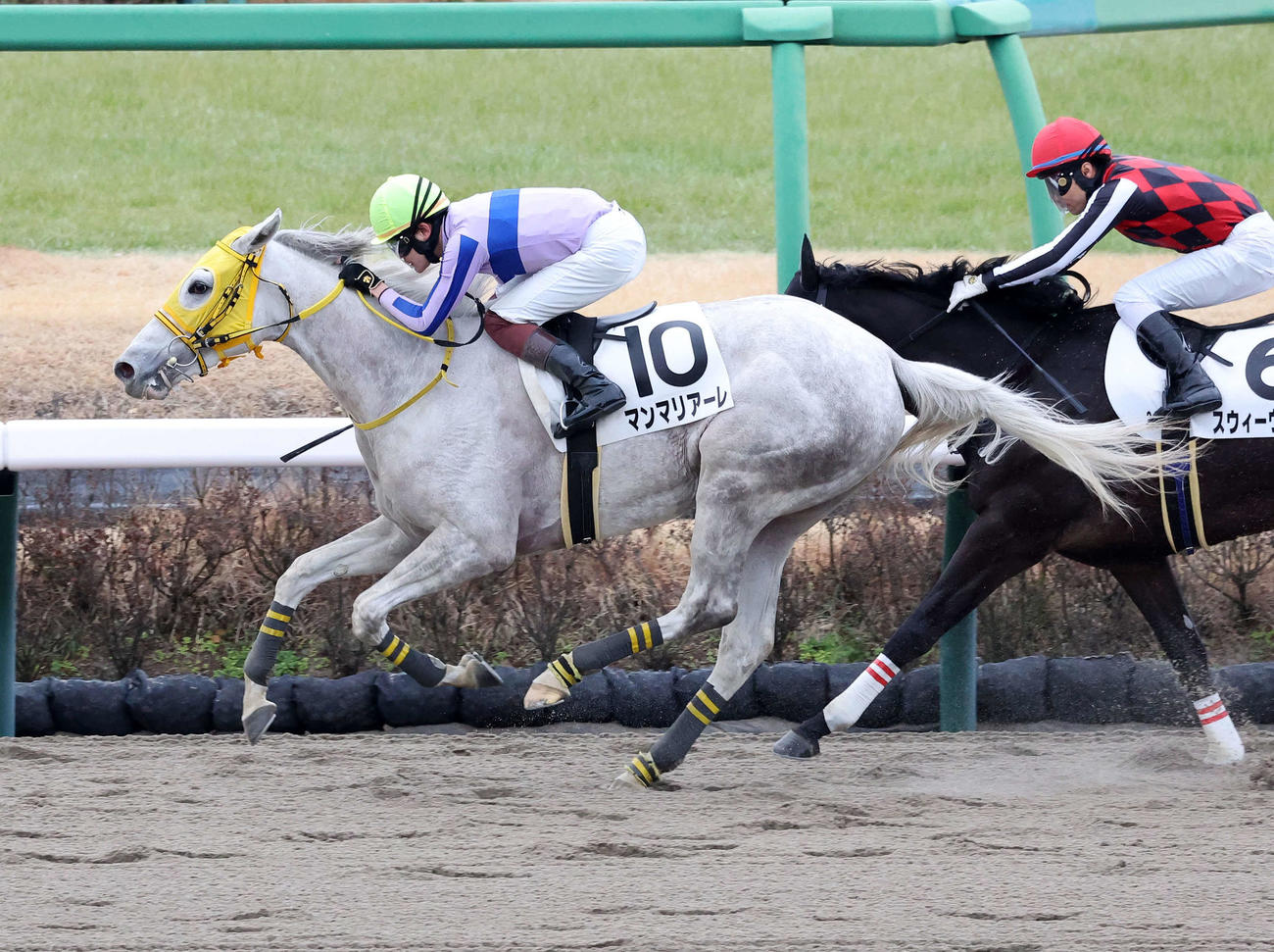 1月15日、3歳未勝利を制したマンマリアーレ