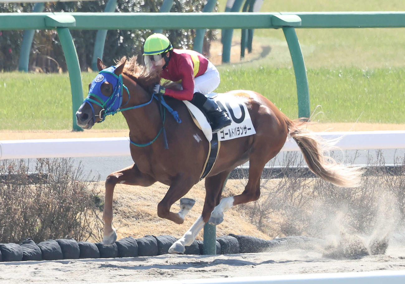 3月4日、3歳未勝利戦を制したゴールドバランサー