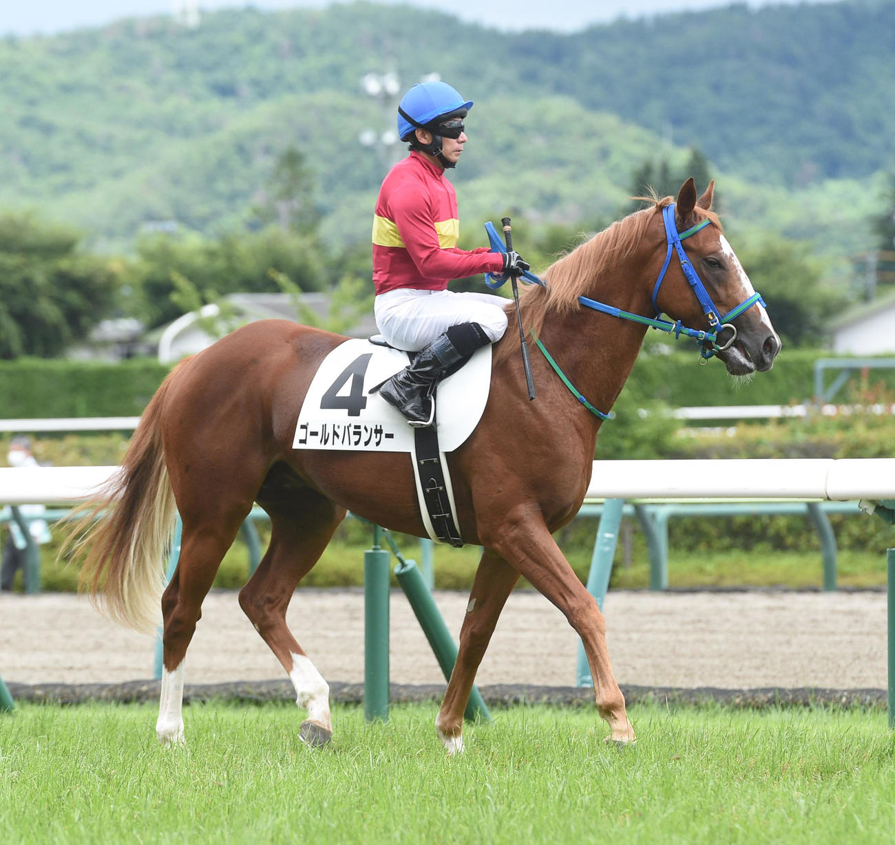 22年7月23日、新馬戦に出走したゴールドバランサー