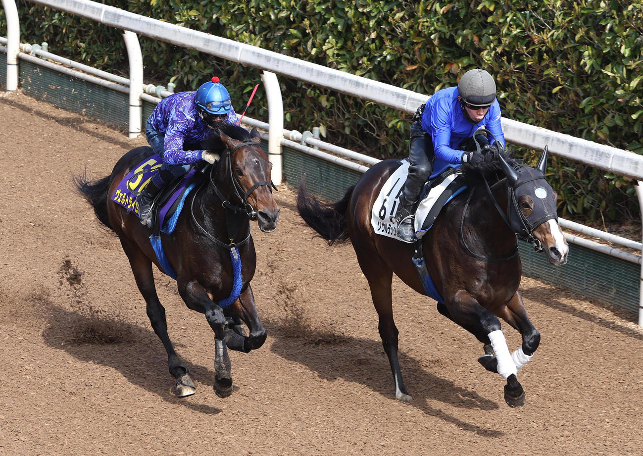 水口騎手を背に、ヴェルトライゼンデ（左）は坂路でソウルラッシュと併せ馬で追い切る（撮影・白石智彦）