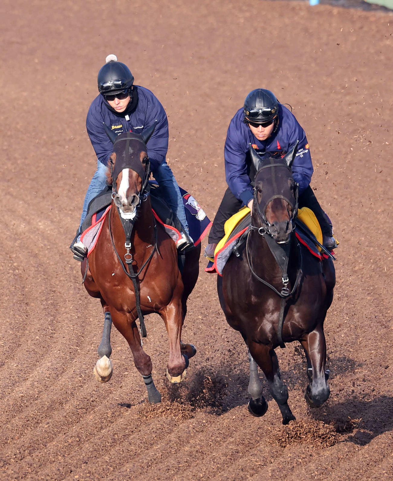 美浦ウッドでゴールデンシロップ（右）と併せ追い切るノッキングポイント（撮影・鈴木正人）
