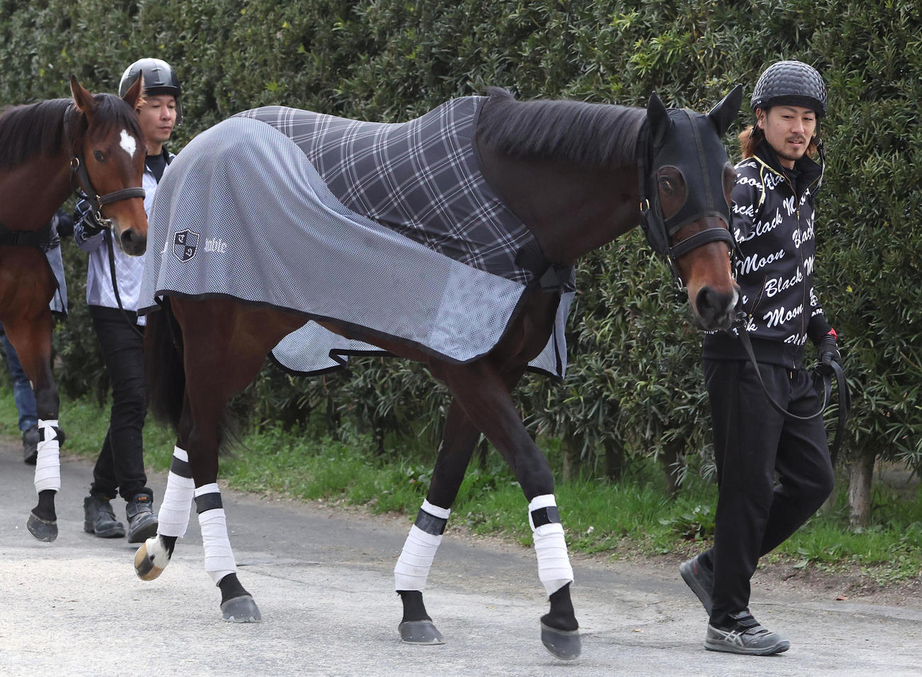 厩舎周りで運動するロータスランド（撮影・白石智彦）