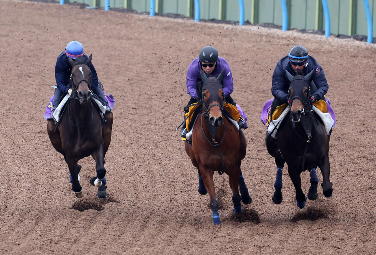 美浦ウッドで3頭併せで追い切るスターズオンアース（左）（撮影・鈴木正人）