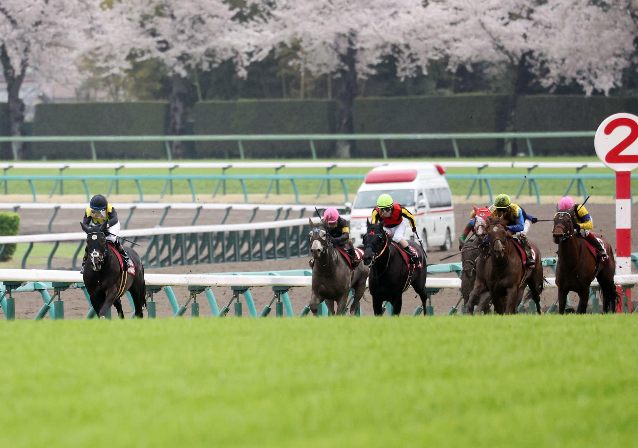 日経賞を制したタイトルホルダー（左）と横山和生騎手（撮影・鈴木正人）