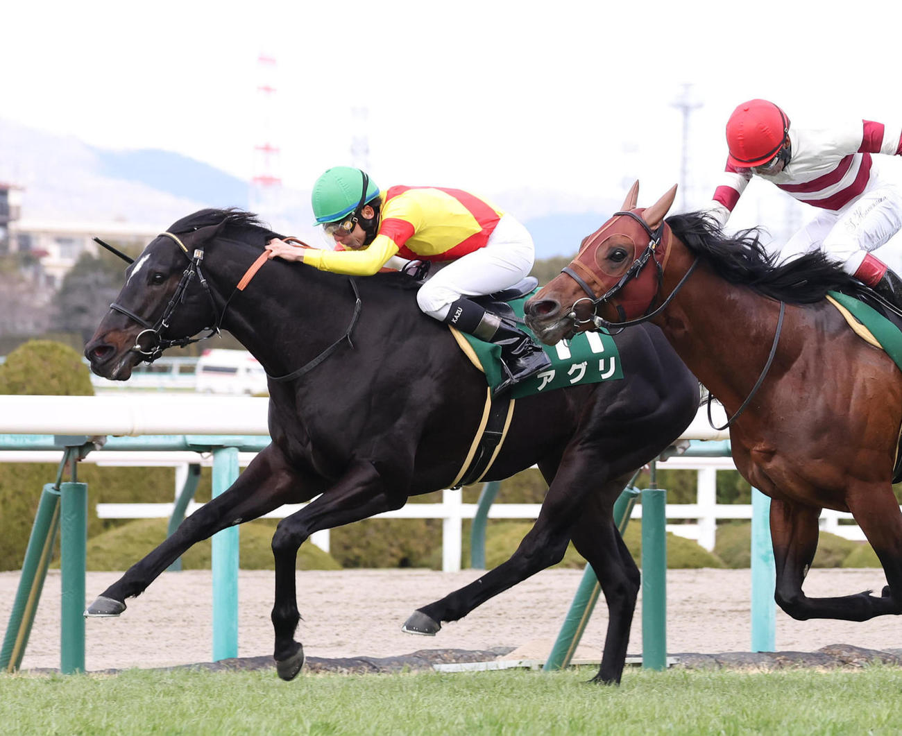 4連勝で阪急杯を制したアグリ（2023年2月26日撮影）