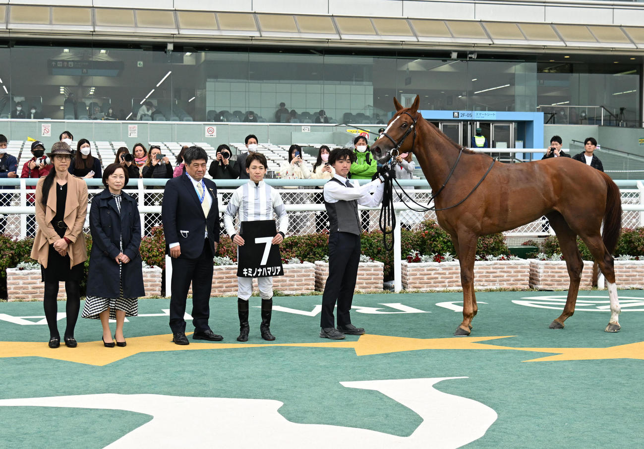 阪神9R　君子蘭賞を制し口取りに並ぶキミノナハマリア、松山弘平騎手（右から2人目）（撮影・石井愛子）
