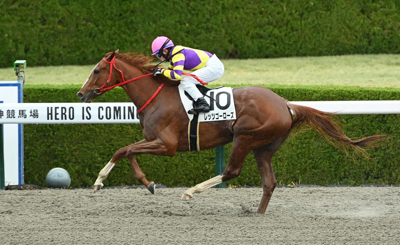 阪神1R3歳未勝利を制したレッツゴーローズ（撮影・石井愛子）
