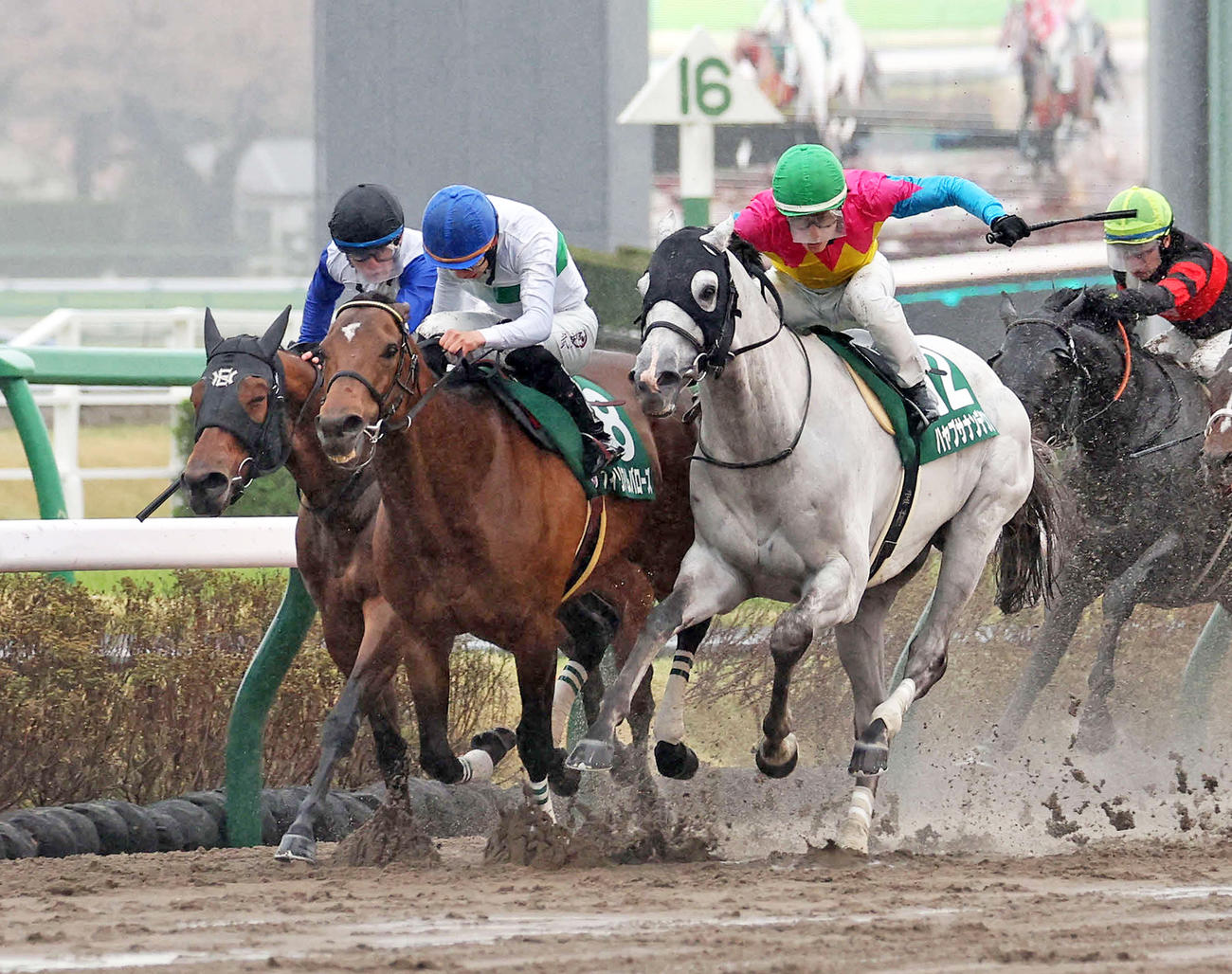 マーチS2着に敗れたウィリアムバローズ（左から2頭目）。右は勝ったハヤブサナンデクン