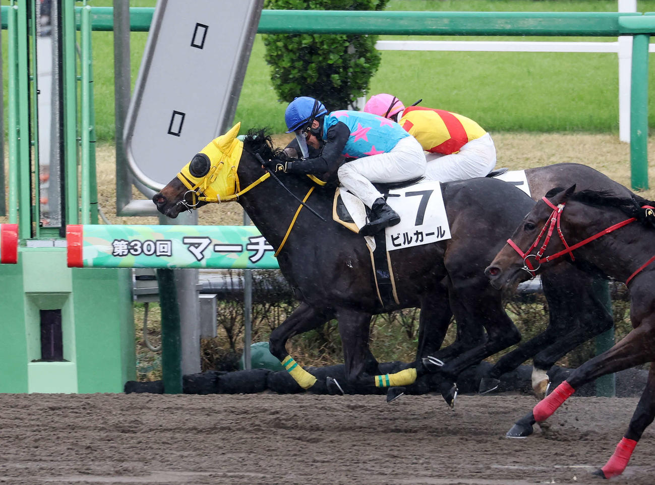 柴田善臣騎手はビルカール（手前）で中山6Rを制し最年長勝利記録を更新（撮影・鈴木正人）