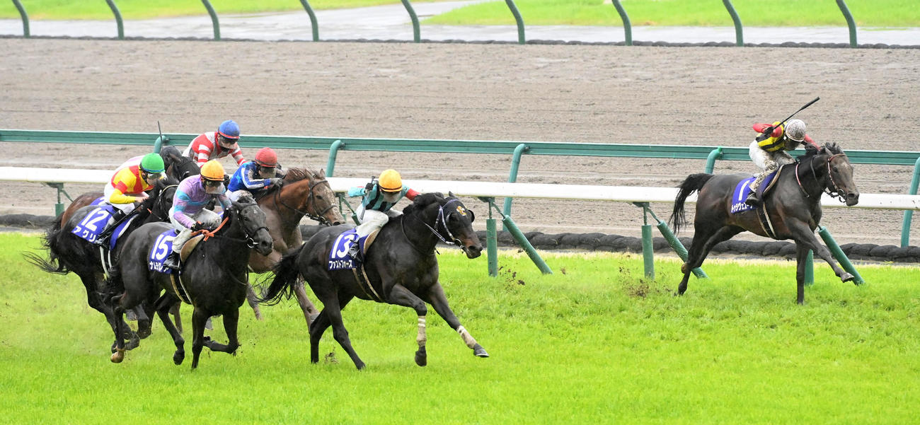 直線、馬群を割って抜け出すファストフォース（撮影・前岡正明）