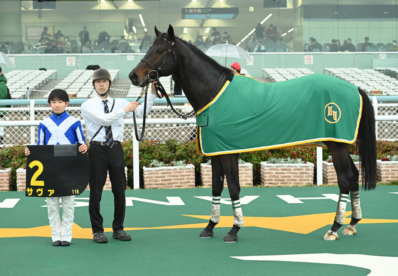 六甲ステークスを制し口取りに並ぶサヴァと松若風馬騎手（左）（撮影・石井愛子）