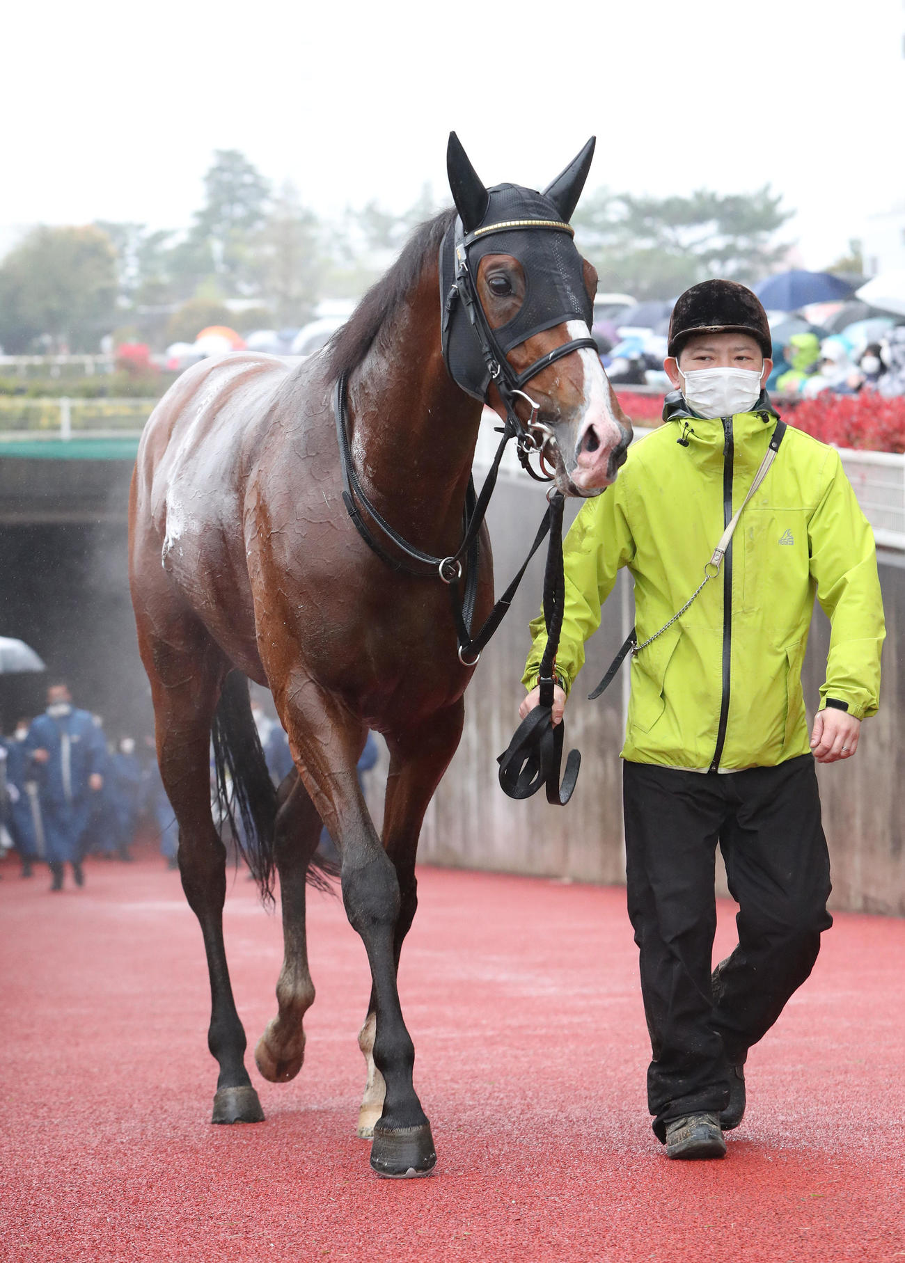 中京9R、大寒桜賞を制したヨリマル（撮影・白石智彦）