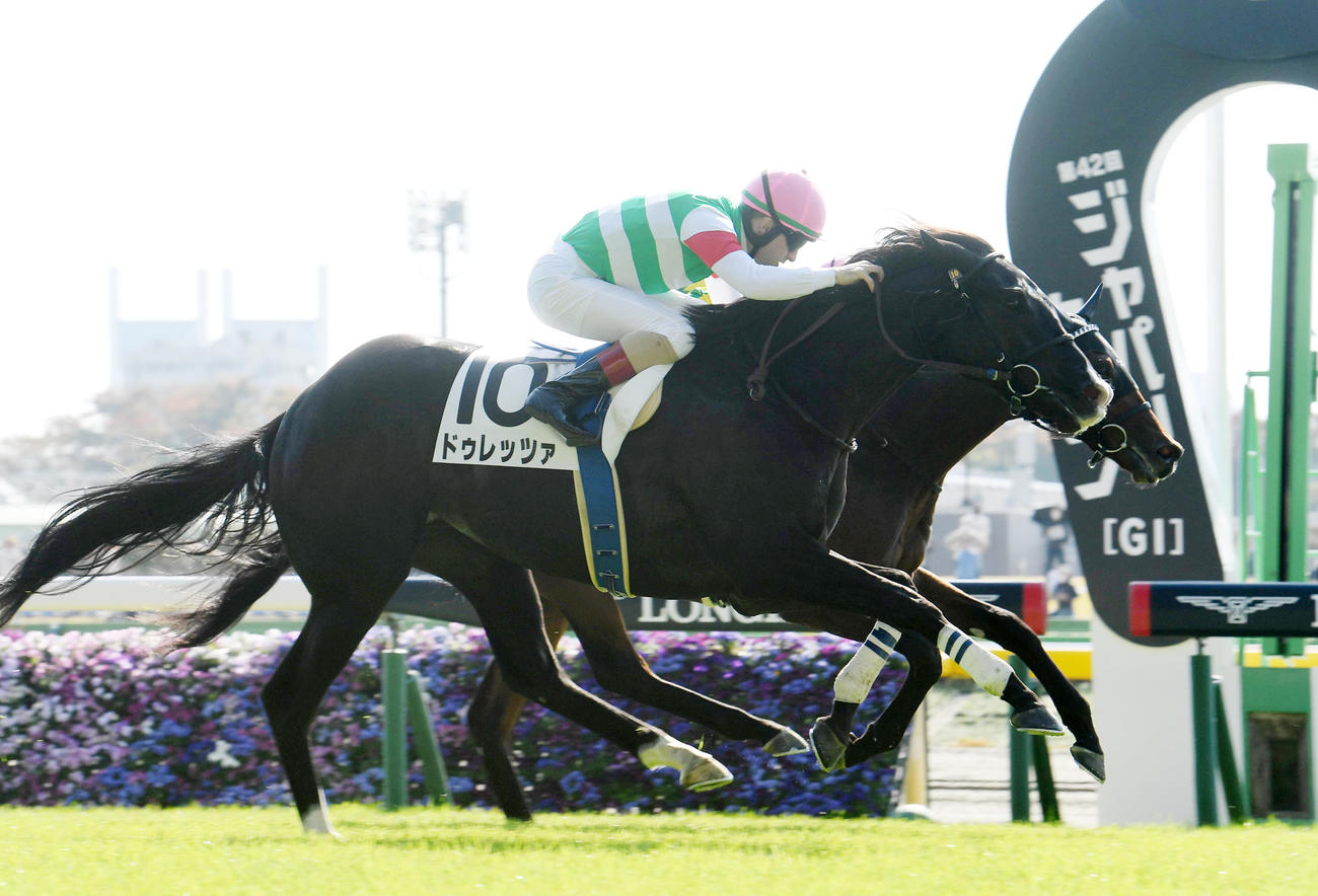 未勝利戦を勝ったドゥレッツァ（手前）（22年11月12日撮影）