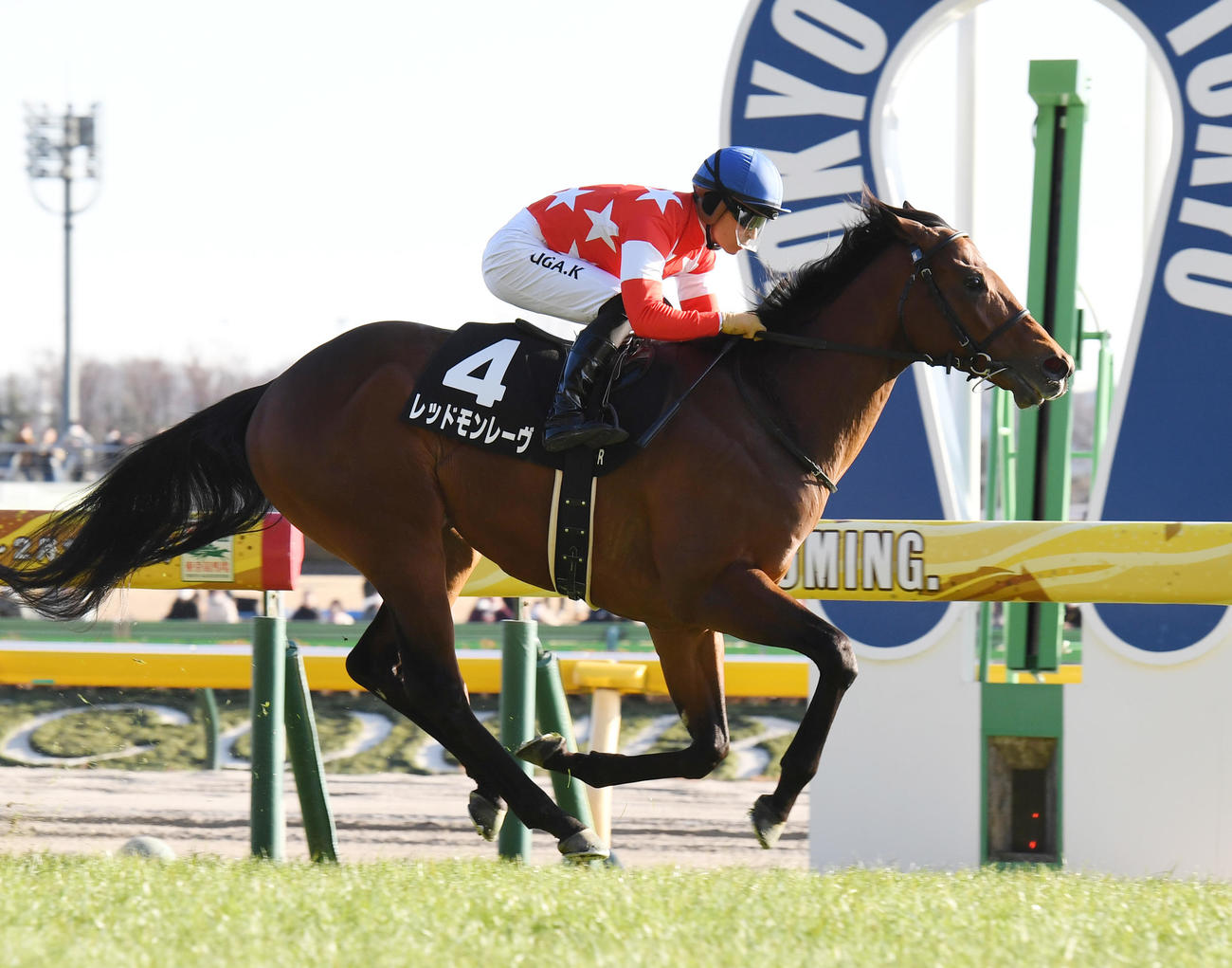 節分Sを制したレッドモンレーヴと川田騎手（23年1月29日撮影）