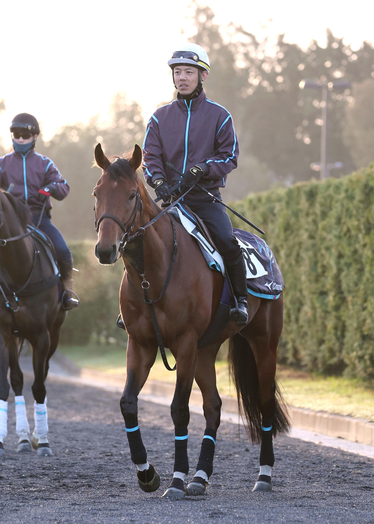 厩舎内で運動するジャスティンカフェ（撮影・白石智彦）