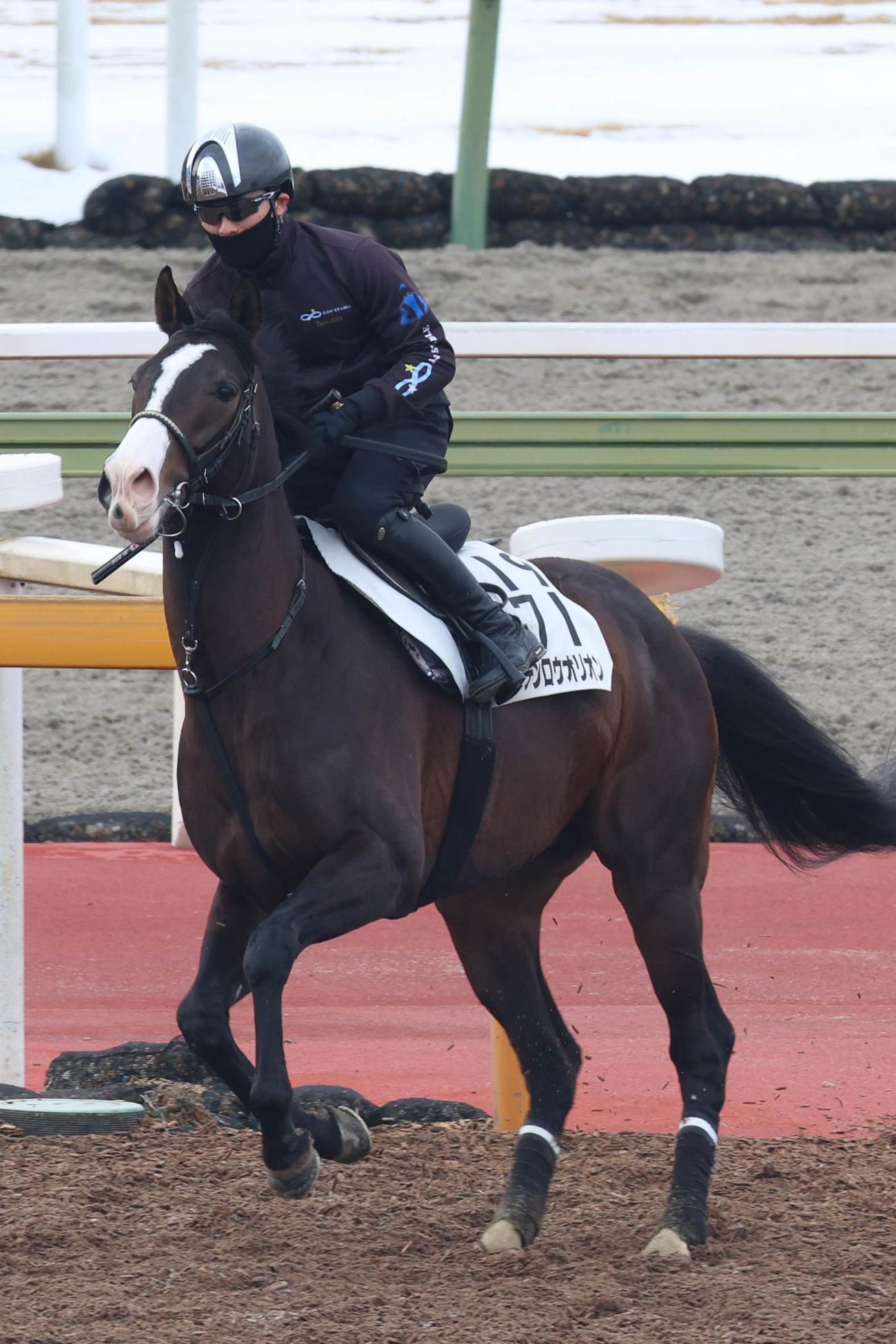 馬場入りするマテンロウオリオン（23年2月1日撮影）